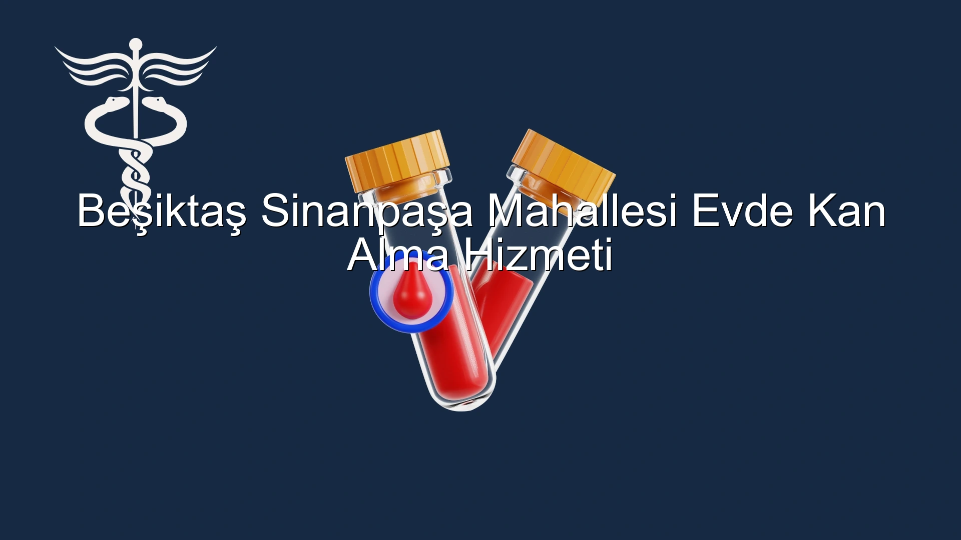 Beşiktaş Sinanpaşa Mahallesi Evde Kan Alma Hizmeti