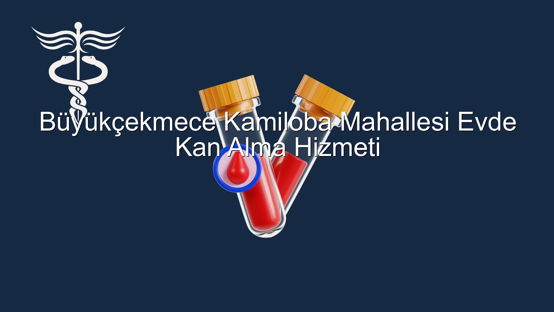 Büyükçekmece Kamiloba Mahallesi Evde Kan Alma Hizmeti