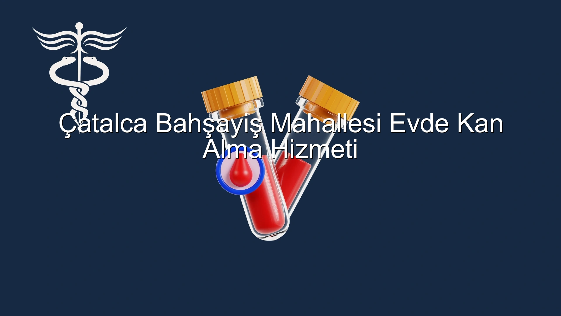 Çatalca Bahşayiş Mahallesi Evde Kan Alma Hizmeti