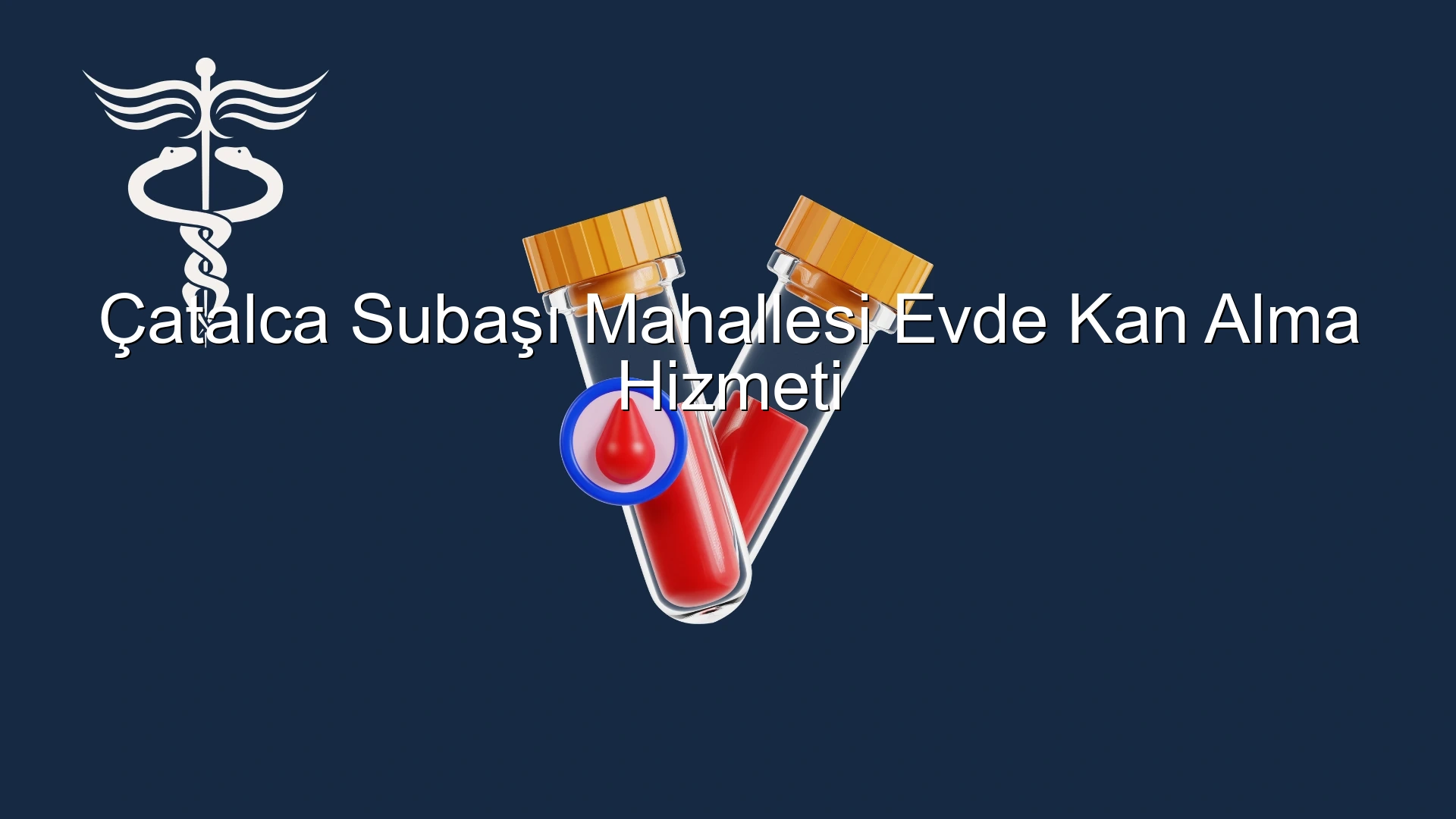 Çatalca Subaşı Mahallesi Evde Kan Alma Hizmeti