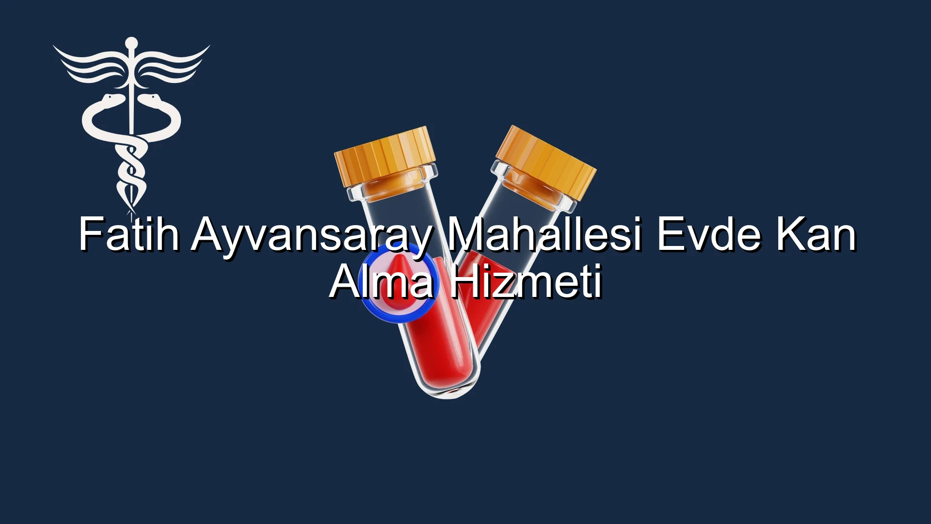 Fatih Ayvansaray Mahallesi Evde Kan Alma Hizmeti