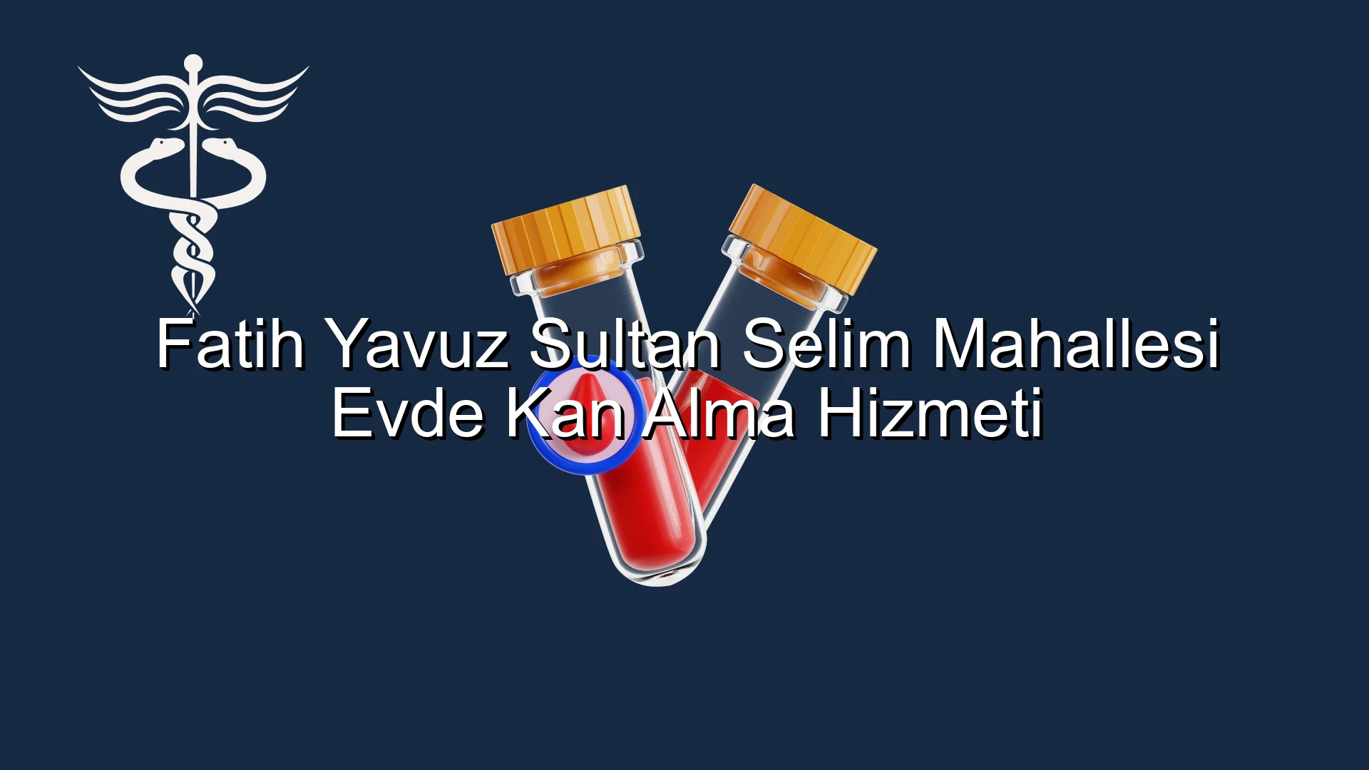 Fatih Yavuz Sultan Selim Mahallesi Evde Kan Alma Hizmeti