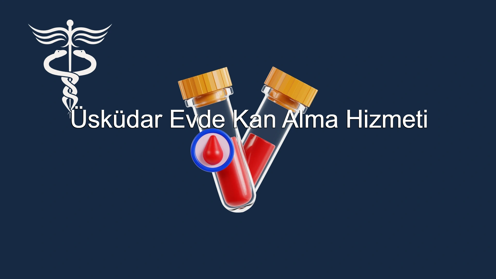 Üsküdar Evde Kan Alma Hizmeti